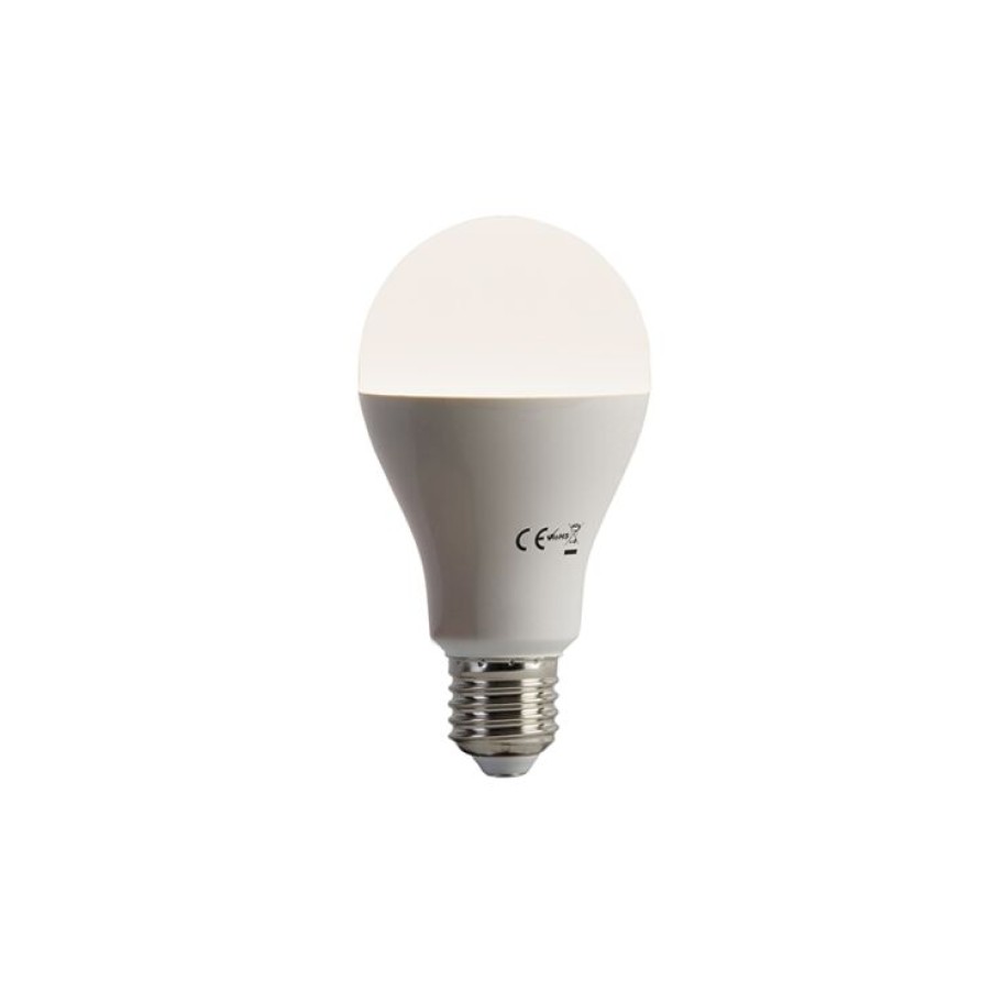 Leuchtmittel LUEDD | E27 Led-Lampe A70 Milchglas 14W 1400 Lm 3000K