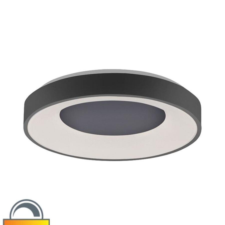 Led Paul Neuhaus | Moderne Deckenleuchte Schwarz Inkl. Led 3-Stufig Dimmbar - Steffie