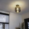 Smart Home QAZQA | Design Deckenlampe Schwarz Mit Gold Mit Rauchglas - Zuzanna