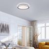 Led Paul Neuhaus | Design Deckenleuchte Silber 40 Cm Inkl. Led Dimmbar - Wendy